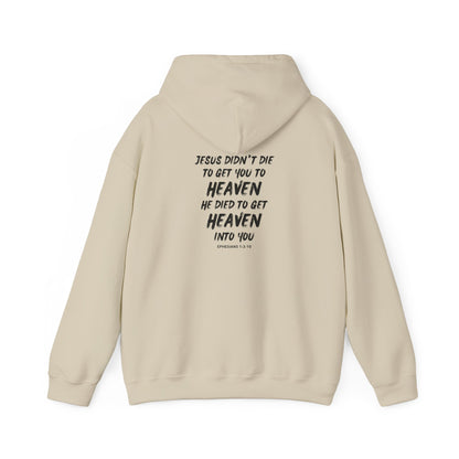 "Jesus Died To Get Heaven Into You" Hoodie